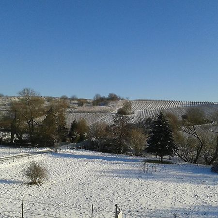 Weingut Hans Bausch Lägenhet Hattenheim Exteriör bild