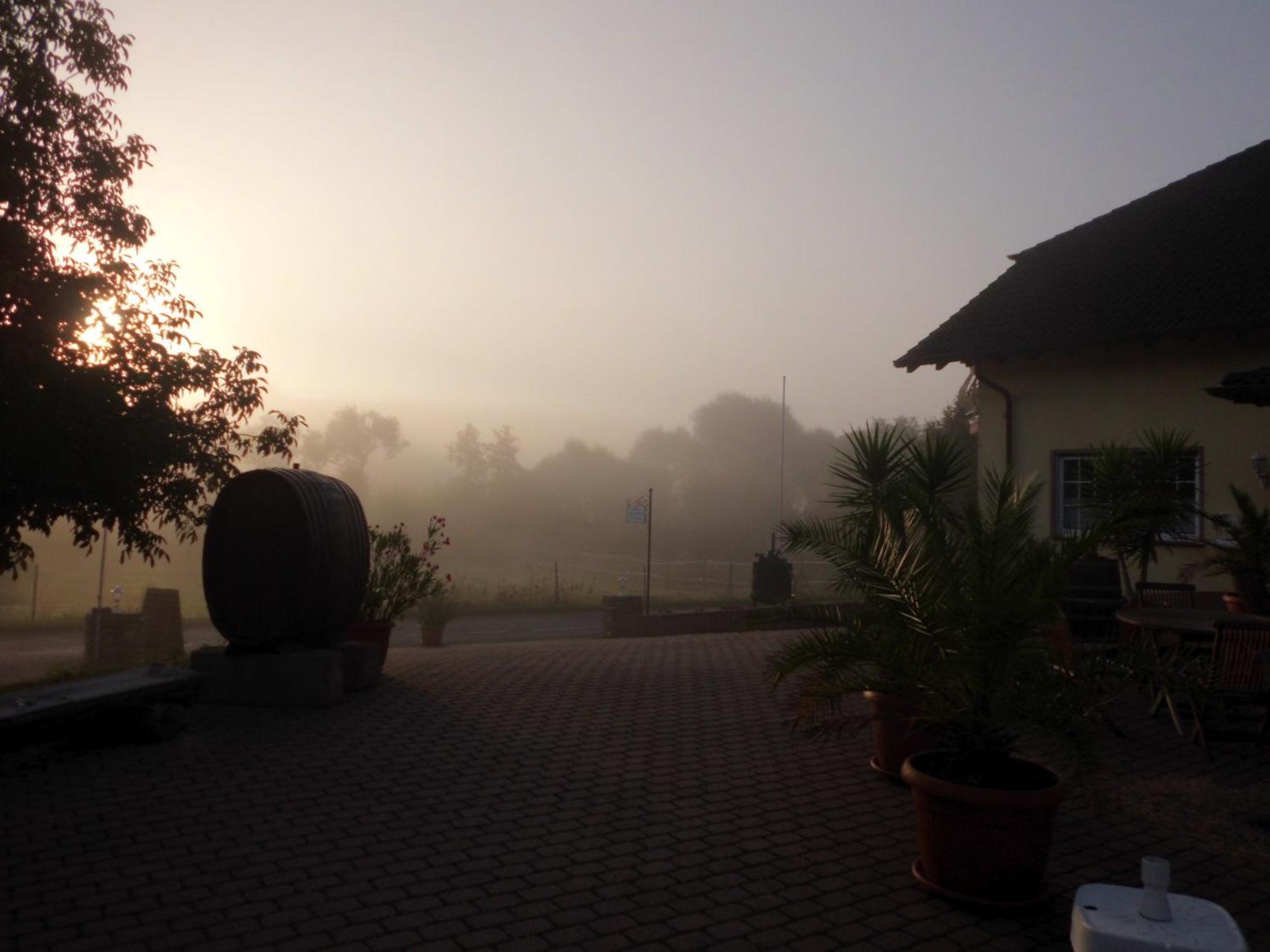 Weingut Hans Bausch Lägenhet Hattenheim Exteriör bild