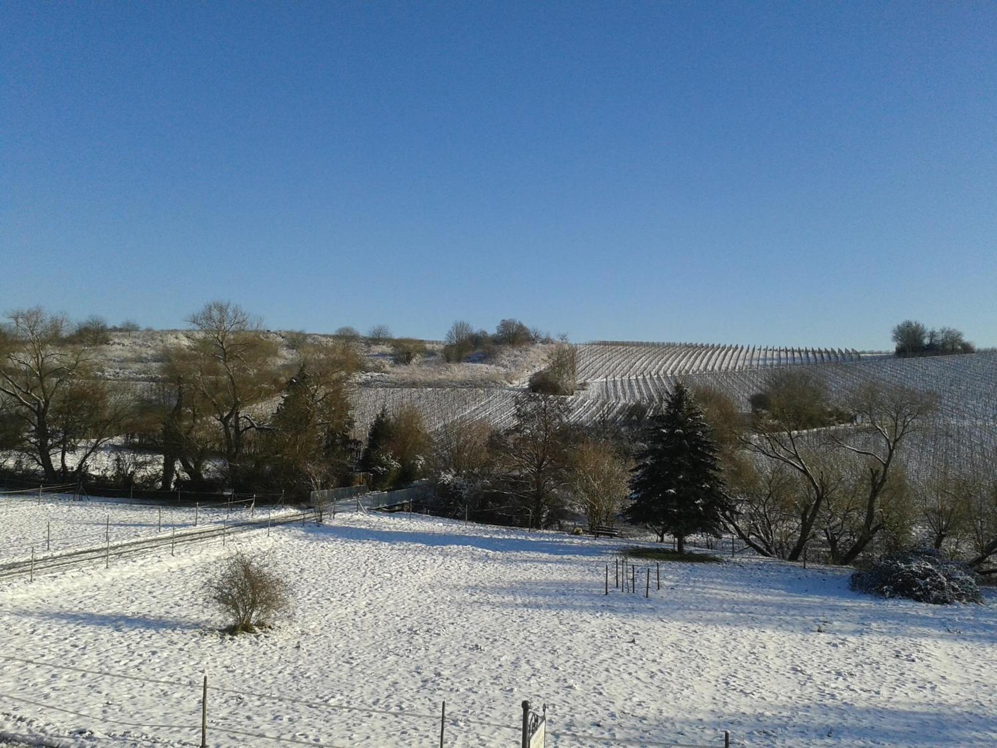 Weingut Hans Bausch Lägenhet Hattenheim Exteriör bild